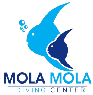 daymaniyatmuscattrip.com