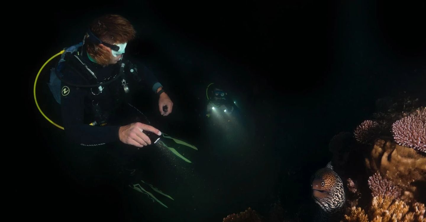 Untitled design (52)