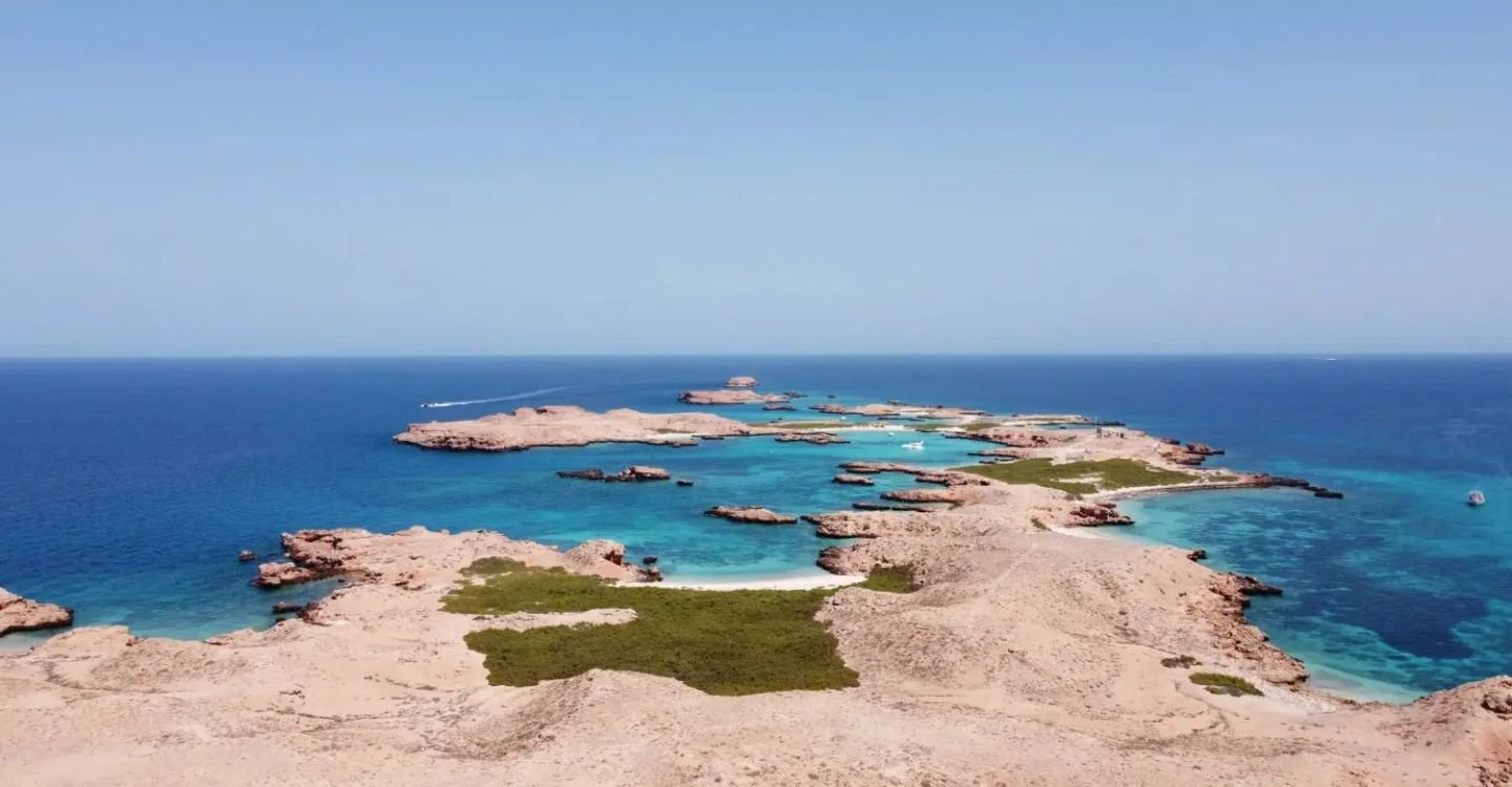 Untitled design (53)