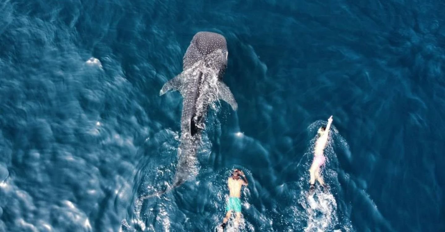 Untitled design (54)